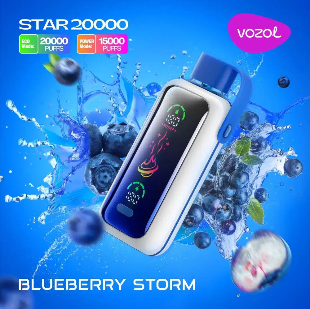 VOZOL Star 20000 Puffs Disposable Vape wholesale    Blueberry-Storm_-1