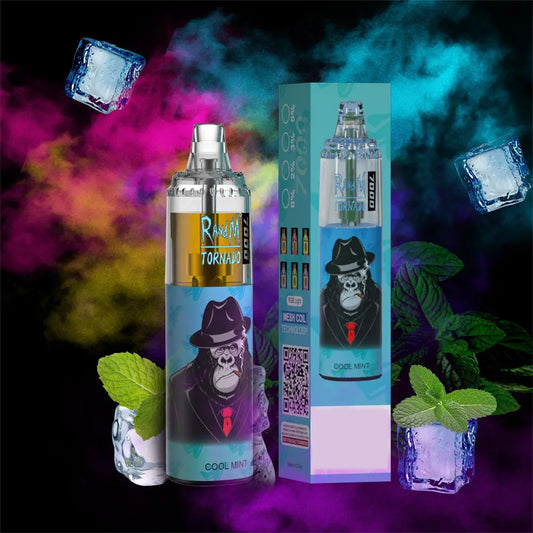 RandM Tornado 7000 Puffs Disposable Vape—COOL MINT🍃🧊 RandM Tornado Vapes