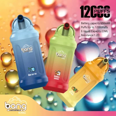 Bang King vape12k puff 12000 Puffs Disposable Vape