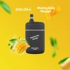 DOLODA Pebble vape 6500 Puffs Disposable Vape 10 flavors