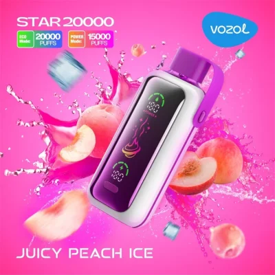 VOZOL STAR VAPE 20000 Puffs 2K PUFF Disposable Vape wholesale