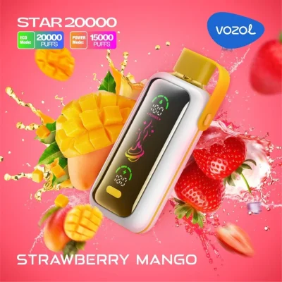 VOZOL STAR VAPE 20000 Puffs 2K PUFF Disposable Vape wholesale