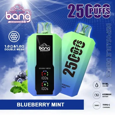 Bang vape 25000 Puffs Disposable Vape Wholesale Price