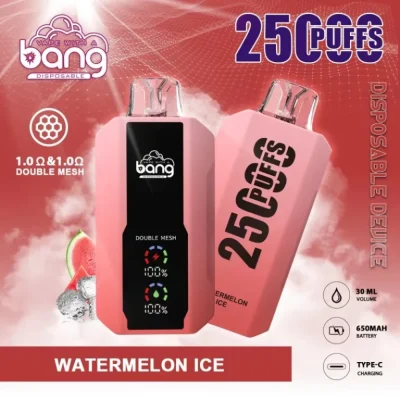 Bang vape 25000 Puffs Disposable Vape Wholesale Price